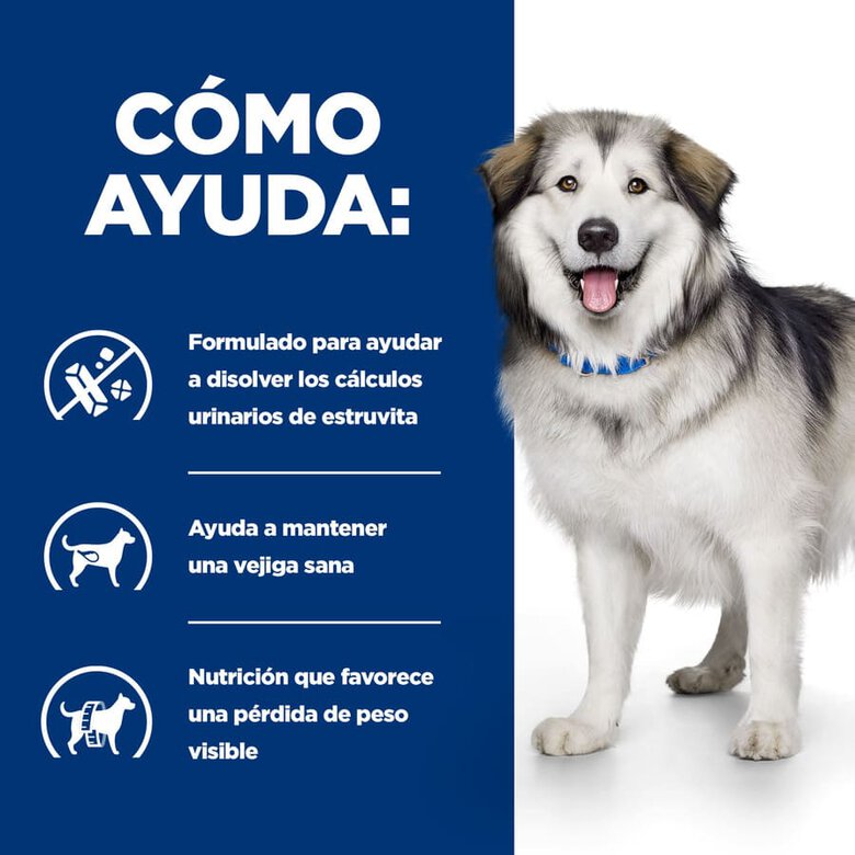 Hill's Prescription Diet Urinary + Metabolic c/d pienso para perros, , large image number null